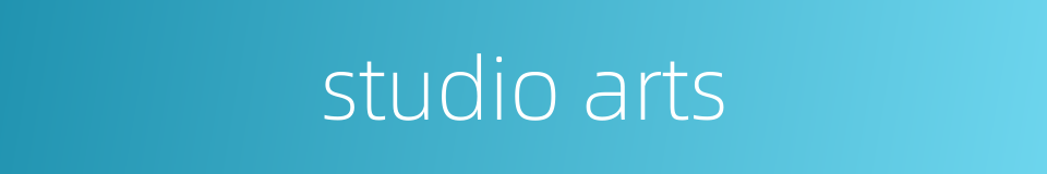 studio arts的同义词