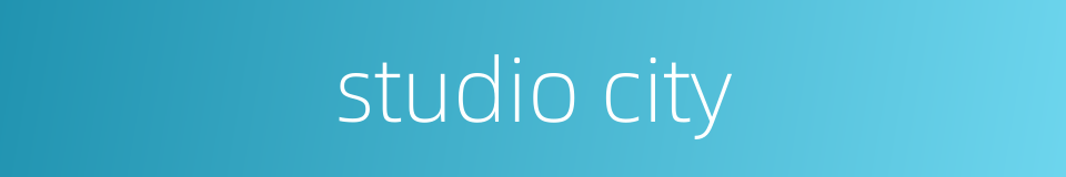 studio city的同义词