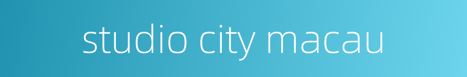 studio city macau的同义词