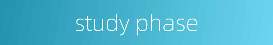study phase的同义词