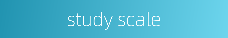 study scale的同义词