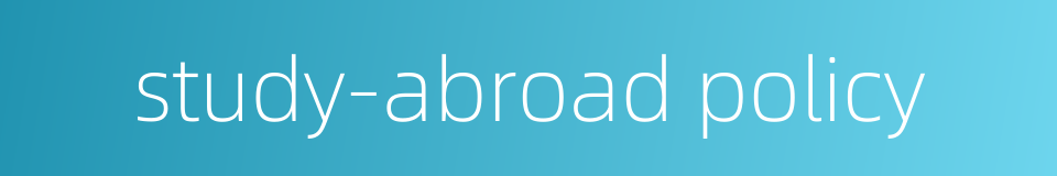 study-abroad policy的同义词