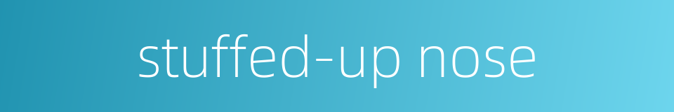stuffed-up nose的同义词