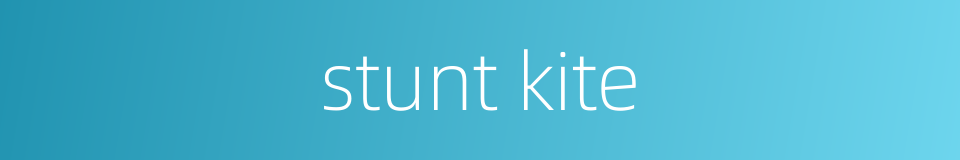 stunt kite的同义词