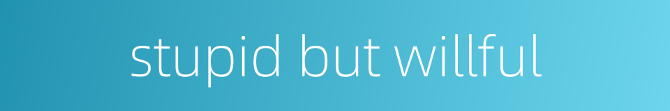 stupid but willful的同义词