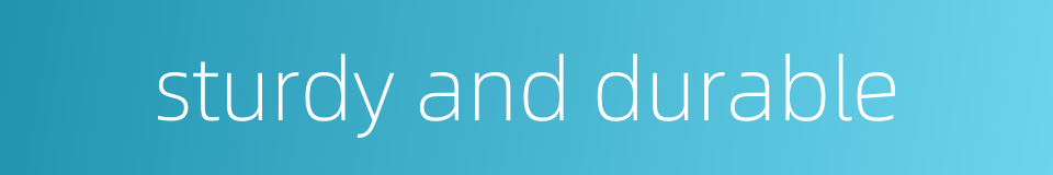 sturdy and durable的同义词