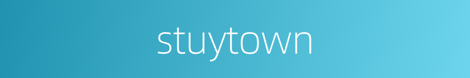 stuytown的同义词