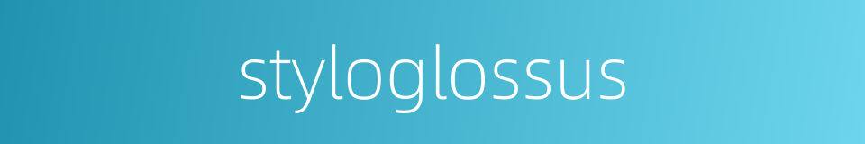 styloglossus的同义词