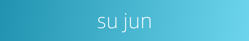 su jun的同义词