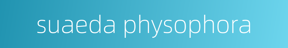 suaeda physophora的同义词