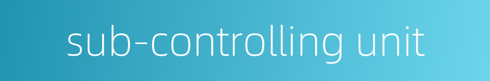 sub-controlling unit的同义词