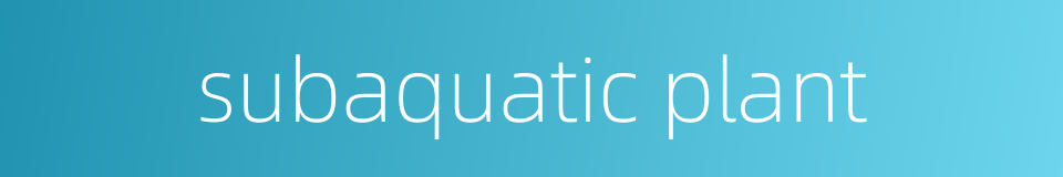 subaquatic plant的同义词