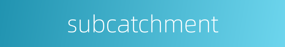 subcatchment的同义词