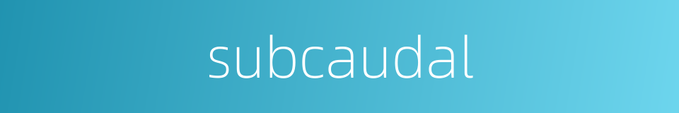 subcaudal的同义词