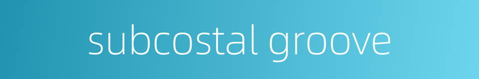 subcostal groove的同义词