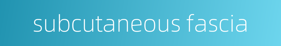 subcutaneous fascia的同义词