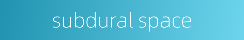 subdural space的同义词