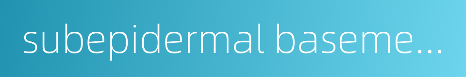 subepidermal basement zone的同义词