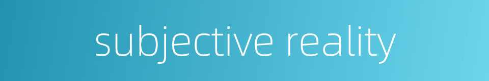 subjective reality的同义词
