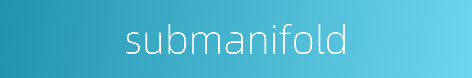 submanifold的同义词