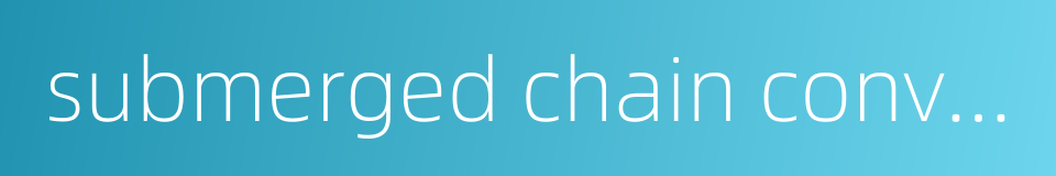 submerged chain conveyor的同义词