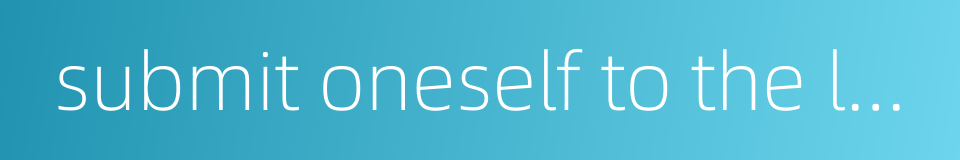 submit oneself to the law的同义词