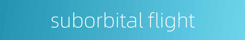 suborbital flight的同义词