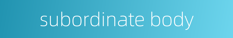 subordinate body的同义词
