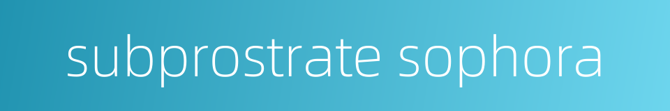 subprostrate sophora的同义词