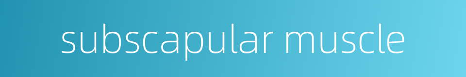 subscapular muscle的同义词