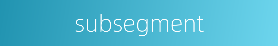 subsegment的同义词