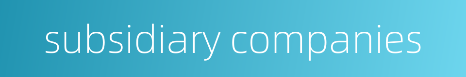 subsidiary companies的同义词