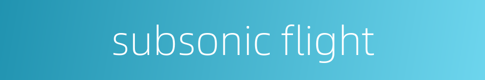 subsonic flight的同义词