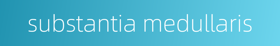 substantia medullaris的同义词