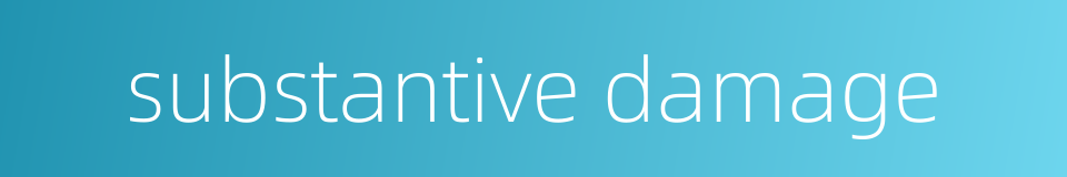 substantive damage的同义词