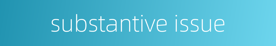 substantive issue的同义词