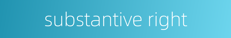 substantive right的同义词