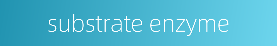 substrate enzyme的同义词