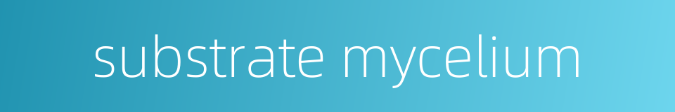 substrate mycelium的同义词