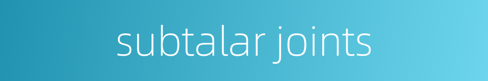 subtalar joints的同义词