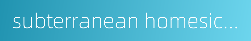 subterranean homesick blues的同义词