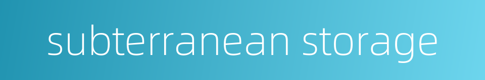 subterranean storage的同义词