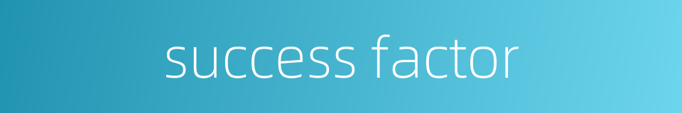success factor的同义词