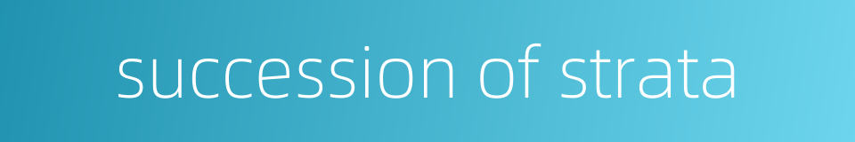 succession of strata的同义词