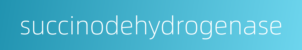 succinodehydrogenase的同义词