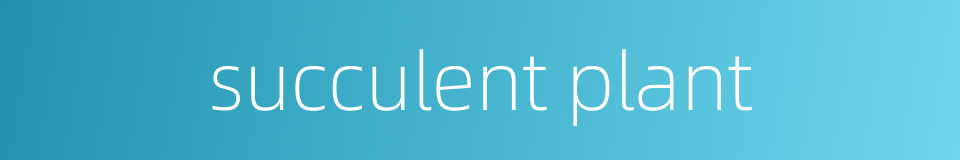 succulent plant的同义词
