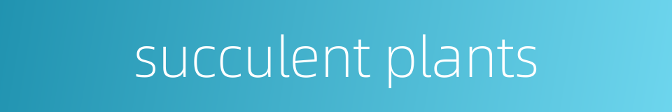 succulent plants的同义词