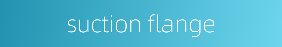 suction flange的同义词