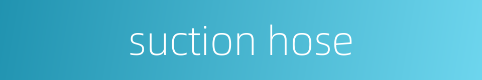 suction hose的同义词