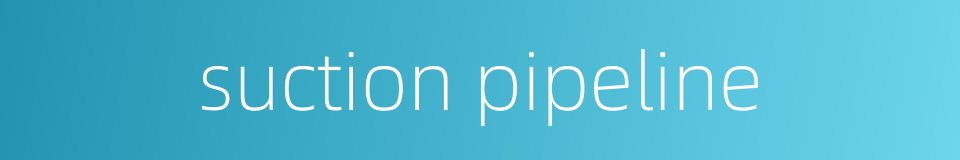 suction pipeline的同义词